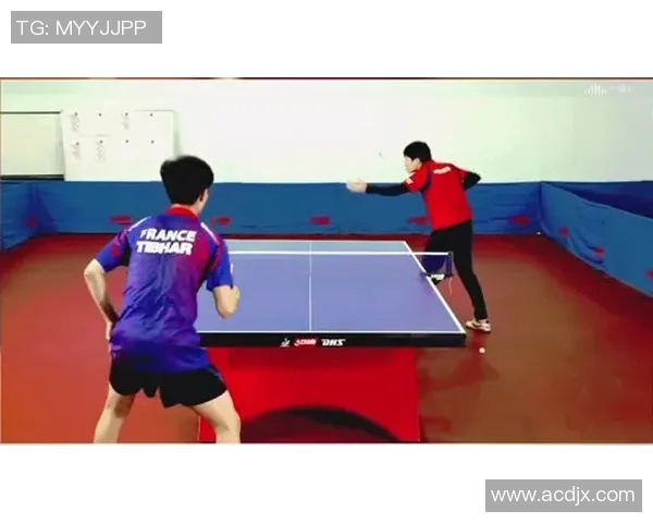 南京乒乓球队区域防守体系的战术解析与实践探讨