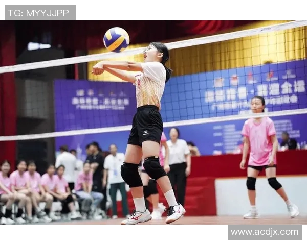 广州排球队的拼搏之路与杯赛荣耀背后的故事